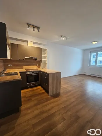 Pronájem bytu 2+kk, Praha, Kryšpínova, 59 m2