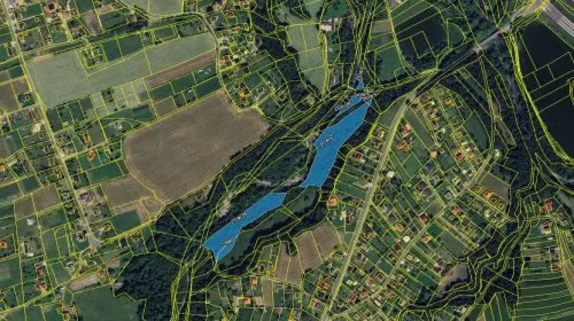 Prodej podílu lesa, Bystřice, 6434 m2