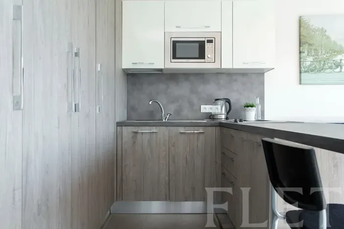 Pronájem bytu 1+kk, Praha - Žižkov, Olgy Havlové, 27 m2