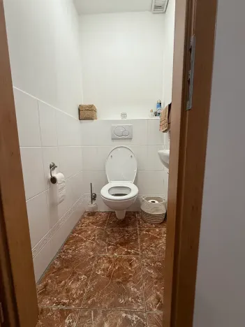 Pronájem bytu 5+kk, Brno, Skořepka, 146 m2