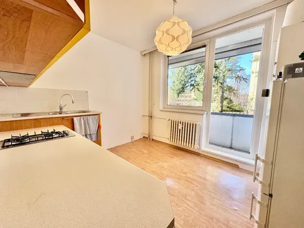 Prodej bytu 2+1, Brno, Záhřebská, 50 m2