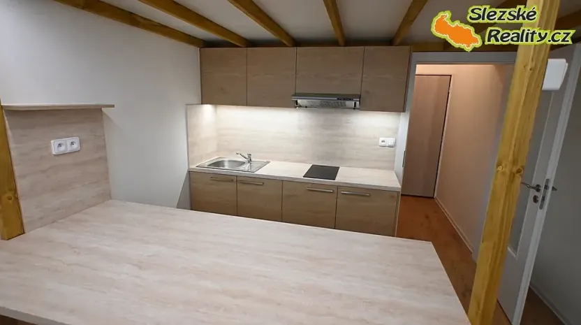 Pronájem bytu 1+kk, Ostrava, Palackého, 26 m2