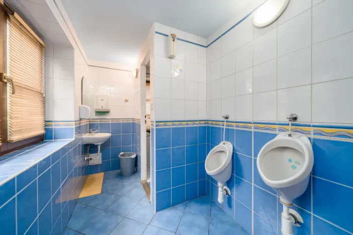 Prodej rodinného domu, Nový Bor - Janov, 200 m2