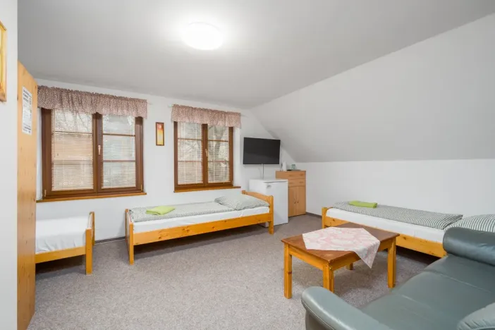 Prodej rodinného domu, Nový Bor - Janov, 280 m2