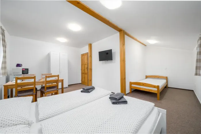 Prodej rodinného domu, Nový Bor - Janov, 280 m2