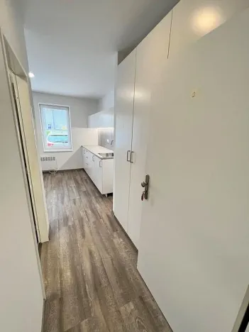 Pronájem bytu 1+kk, Brno - Maloměřice, Hády, 18 m2