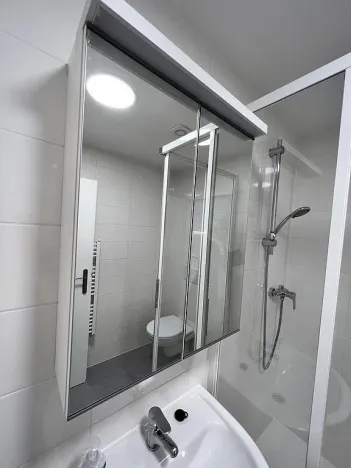 Pronájem bytu 1+kk, Brno - Maloměřice, Hády, 18 m2