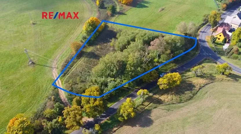 Prodej pozemku pro bydlení, Planá, 3965 m2