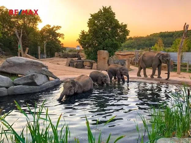 Prodej bytu 2+kk, Praha - Bohnice, Zelenohorská, 43 m2