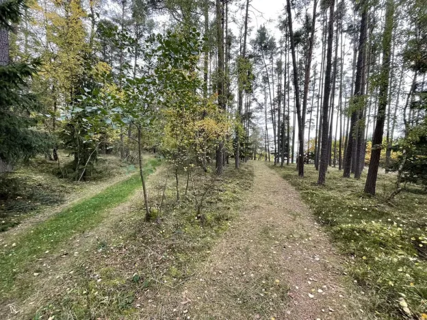 Prodej lesa, Lipí - Kaliště u Lipí, 23659 m2