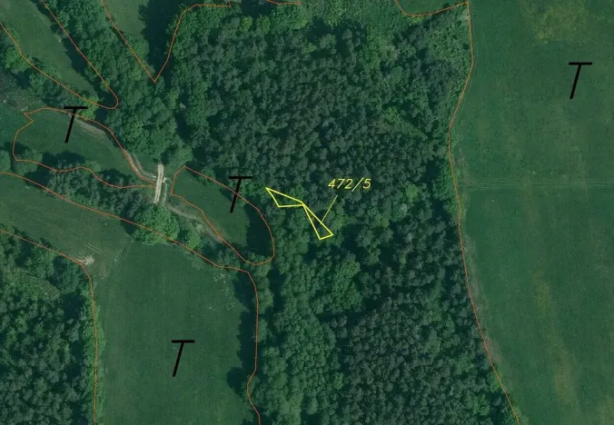 Prodej lesa, Lipí - Kaliště u Lipí, 23659 m2