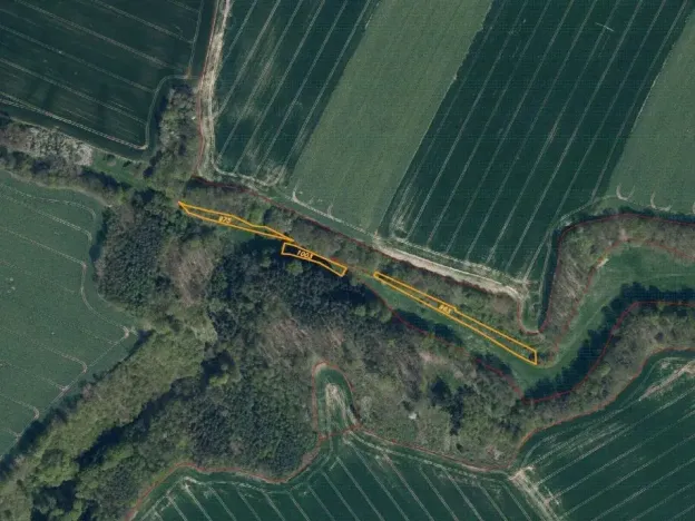 Dražba louky, Tachov, 3829 m2