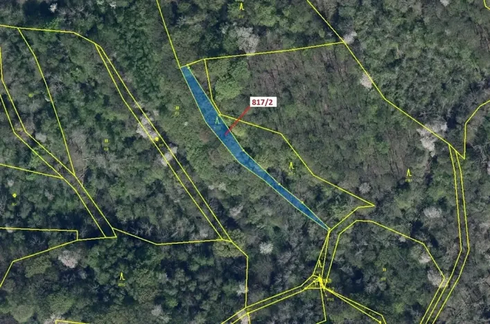 Dražba lesa, Zubrnice, 815 m2