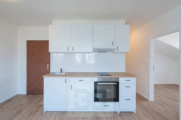 Pronájem bytu 3+kk, Praha - Hodkovičky, Havlovického, 35 m2