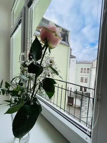 Prodej bytu 3+1, Liberec - Liberec I-Staré Město, 5. května, 89 m2