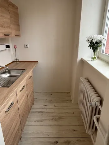 Pronájem bytu 1+kk, Frýdek-Místek, Bruzovská, 25 m2