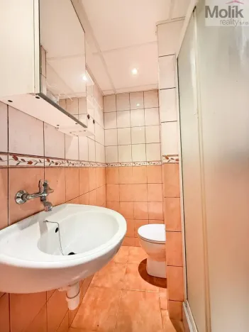 Pronájem bytu 1+kk, Most, U Věžových domů, 22 m2