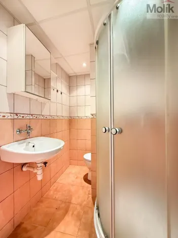 Pronájem bytu 1+kk, Most, U Věžových domů, 22 m2