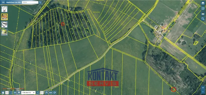 Prodej lesa, Letiny - Svárkov, 12818 m2