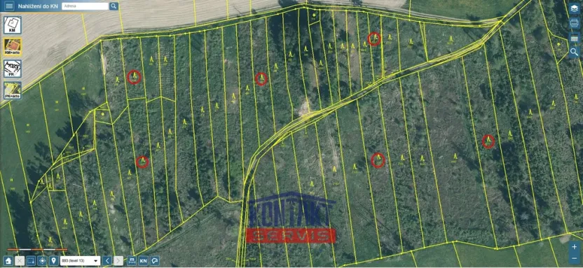 Prodej lesa, Letiny - Svárkov, 12818 m2