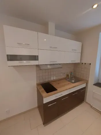 Prodej atypického bytu, Štětí, Školní, 19 m2