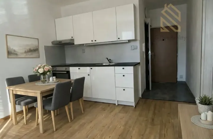 Pronájem bytu 1+1, Louny, Petra Obrovce, 35 m2