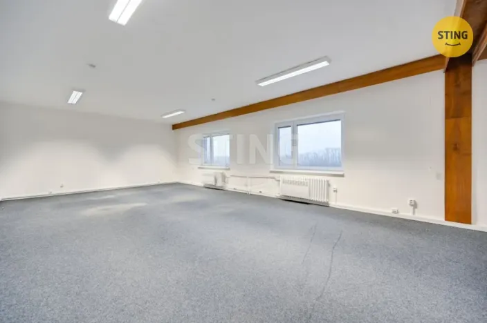Pronájem obchodního prostoru, Babice, 300 m2