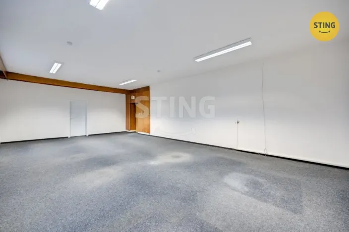 Pronájem obchodního prostoru, Babice, 300 m2