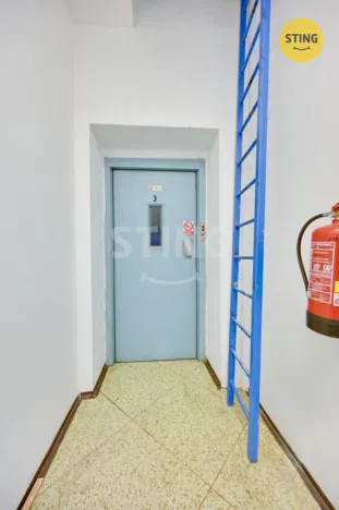 Pronájem obchodního prostoru, Babice, 300 m2