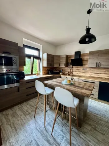 Prodej rodinného domu, Most, Jugoslávská, 452 m2