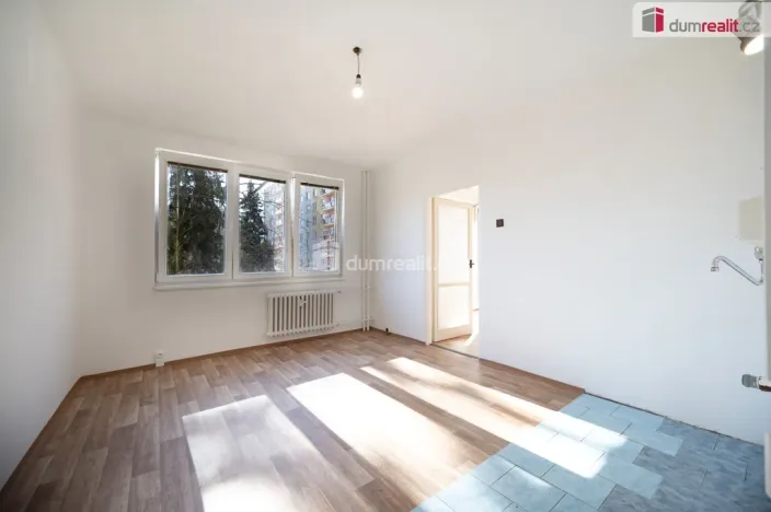 Prodej bytu 1+1, České Budějovice - České Budějovice 3, Plzeňská, 39 m2