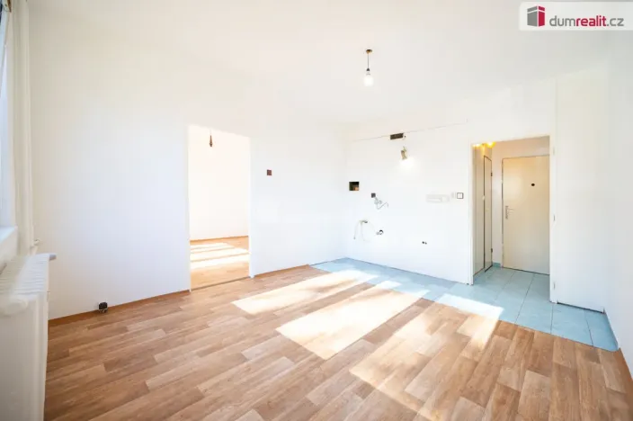 Prodej bytu 1+1, České Budějovice - České Budějovice 3, Plzeňská, 39 m2