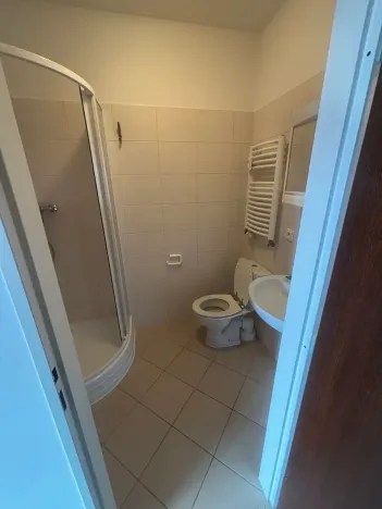 Pronájem bytu 1+kk, Prostějov, Netušilova, 34 m2