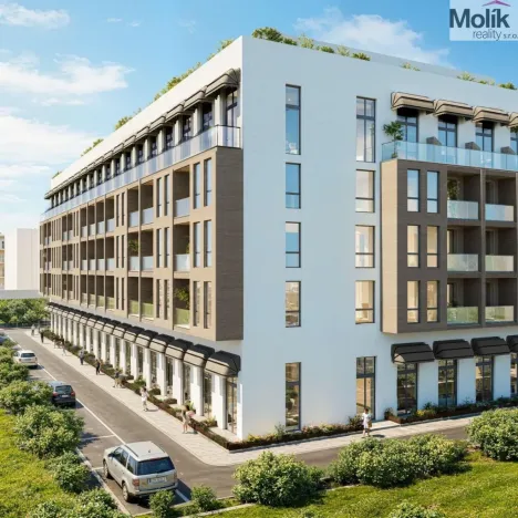 Prodej bytu 1+kk, Golem, 34 m2