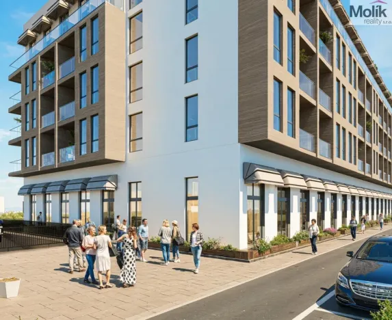 Prodej bytu 1+kk, Golem, 34 m2