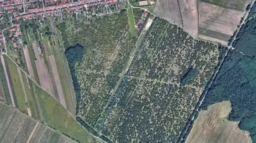 Prodej zahrady, Hlohovec, 3671 m2