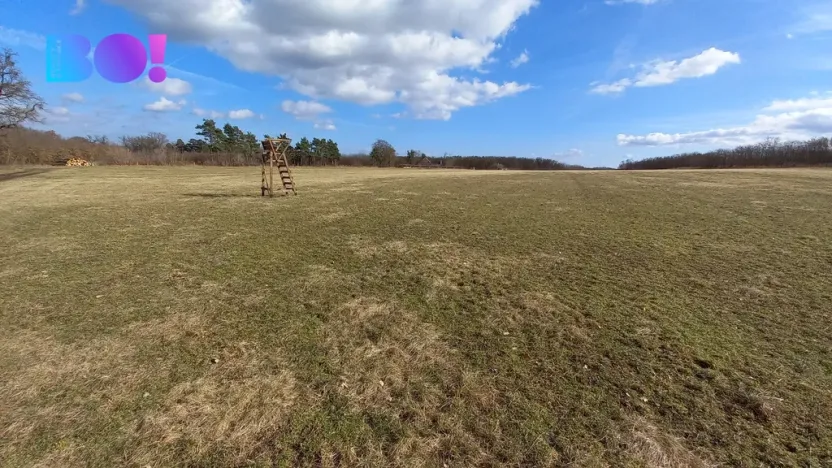 Prodej pole, Šanov, 61315 m2