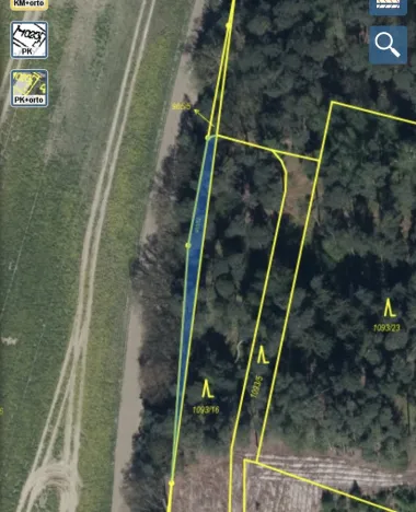 Prodej lesa, Veliny, 5028 m2