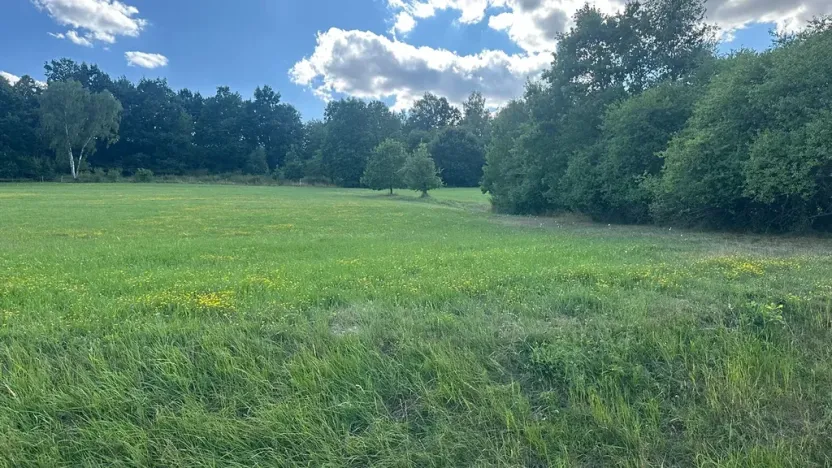 Prodej pozemku pro bydlení, Albrechtice nad Vltavou, 5665 m2