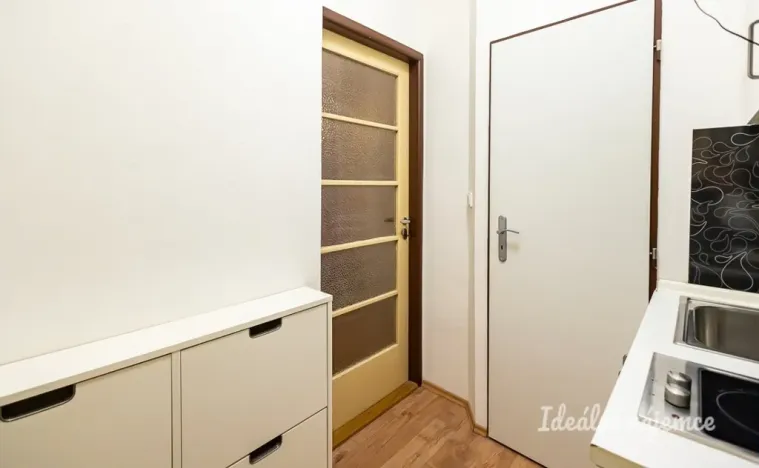 Pronájem bytu 1+kk, Praha - Vinohrady, Sobotecká, 18 m2