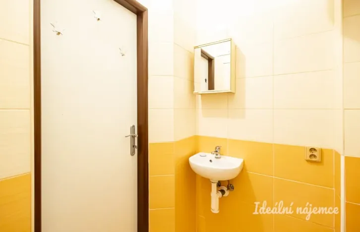 Pronájem bytu 1+kk, Praha - Vinohrady, Sobotecká, 18 m2