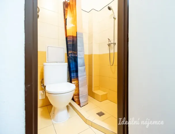 Pronájem bytu 1+kk, Praha - Vinohrady, Sobotecká, 18 m2