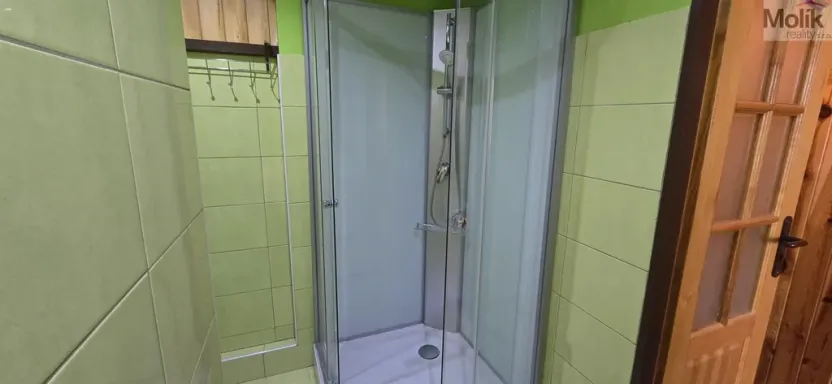 Prodej bytu 1+1, Litvínov - Horní Litvínov, Tylova, 37 m2