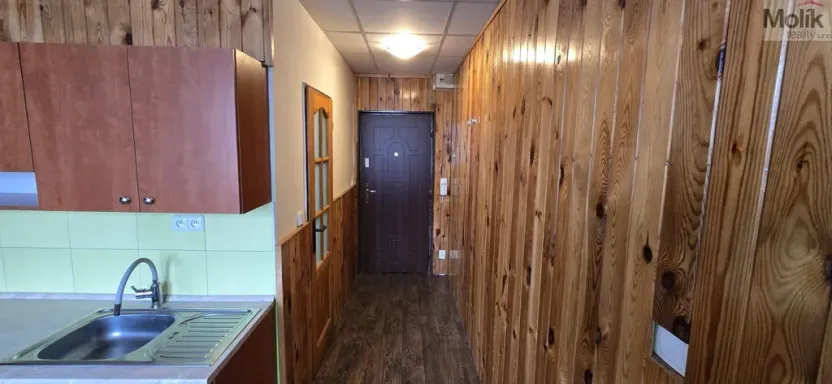 Prodej bytu 1+1, Litvínov - Horní Litvínov, Tylova, 37 m2