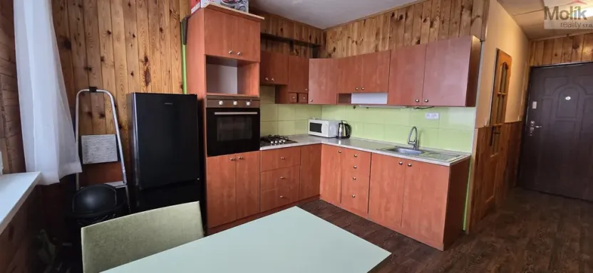 Prodej bytu 1+1, Litvínov - Horní Litvínov, Tylova, 37 m2