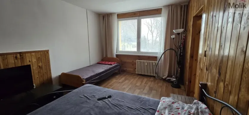 Prodej bytu 1+1, Litvínov - Horní Litvínov, Tylova, 37 m2