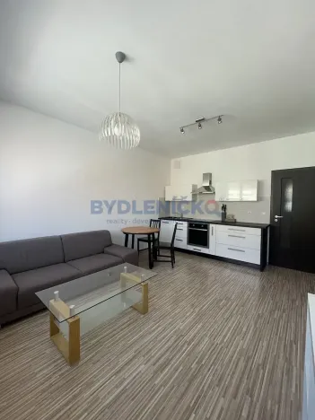 Pronájem bytu 2+kk, České Budějovice, B. Smetany, 40 m2