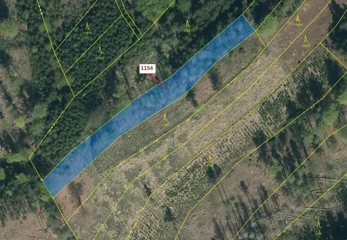 Dražba lesa, Vilice, 2384 m2