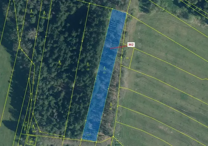 Dražba lesa, Trhové Sviny, 2498 m2