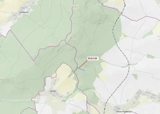 Dražba lesa, Nová Hradečná, 5079 m2